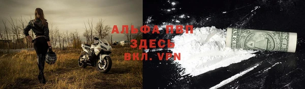 ГАЛЛЮЦИНОГЕННЫЕ ГРИБЫ Краснотурьинск
