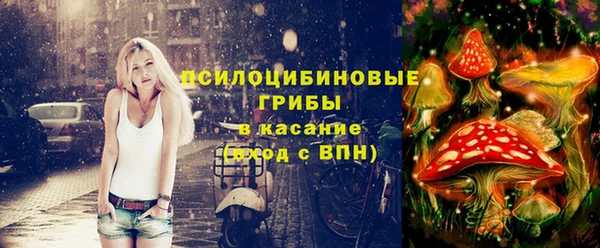 синтетический гашиш Краснослободск