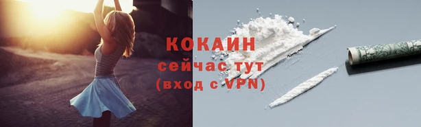 ГАЛЛЮЦИНОГЕННЫЕ ГРИБЫ Краснотурьинск