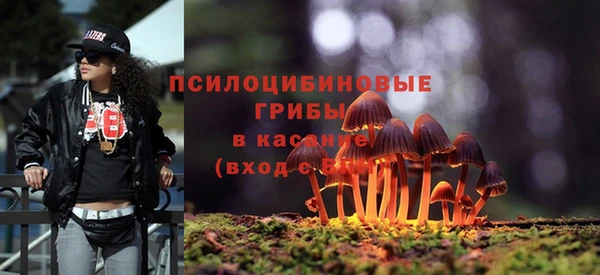 ECSTASY Красноперекопск