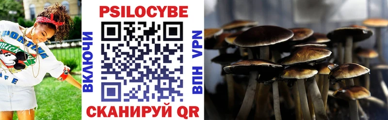 Купить где Десногорск Псилоцибиновые грибы Psilocybine cubensis